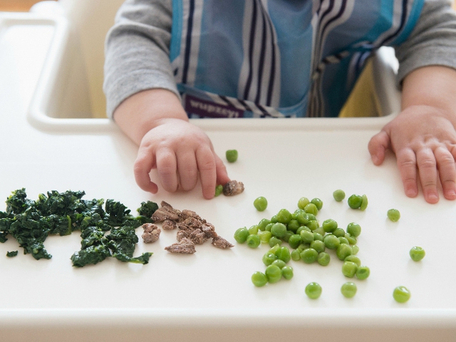 Trẻ mới tập ăn thích các loại thức ăn dễ cầm nắm