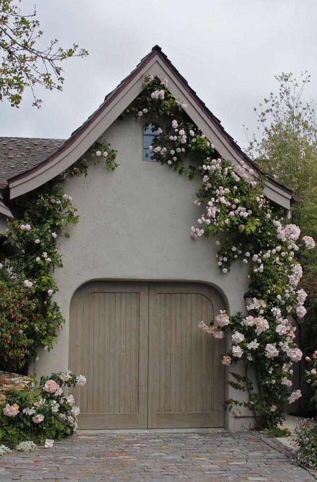 Ngôi nhà tranh đơn sắc với cánh cổng gỗ, tường màu be và lối vào lát đá như bừng lên sức sống với khóm hồng leo từ sát đất lên sát vòm mái nhà.