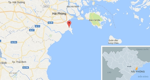 
Cá heo trôi dạt vào bãi biển Đồ Sơn (Hải Phòng). Ảnh: Google Maps.
