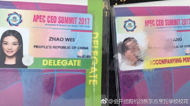 Triệu Vy l&agrave; đại biểu APEC.