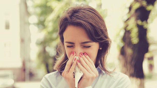 
Húng chanh chữa nhiều bệnh thường gặp vào mùa đông như cảm cúm, sốt, giải cảm, ho, viêm họng… mà không cần uống một viên kháng sinh nào.

