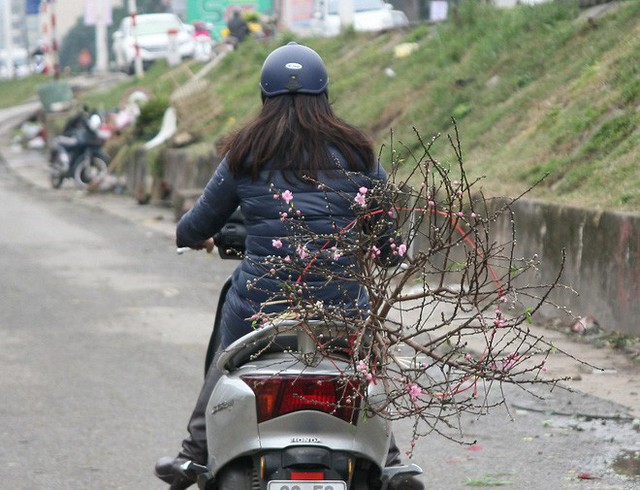 Nhiều chị em phụ nữ vui mừng khi mua được những cành đào ưng ý mang về gia đình dịp Tết Dương lịch.