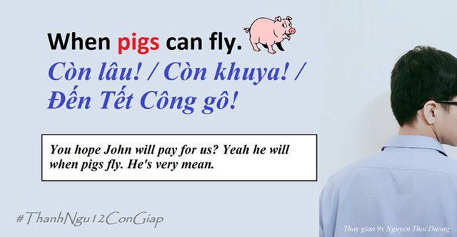 
When pigs can fly hay When pigs fly / pigs can fly chỉ việc không bao giờ xảy ra vì sự thật là lợn không biết bay.
