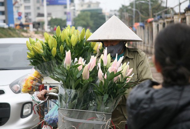 Không chỉ tại chợ hoa Quảng Bá mà tại khắp các ngõ ngách, đường phố tại Hà Nội đều xuất hiện những xe hoa tươi phục vụ người dân dịp Tết Dương lịch.