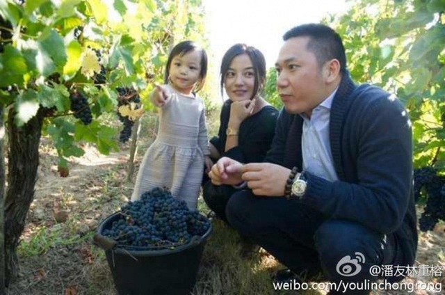 
Gia đình hạnh phúc hiện tại của Triệu Vy.
