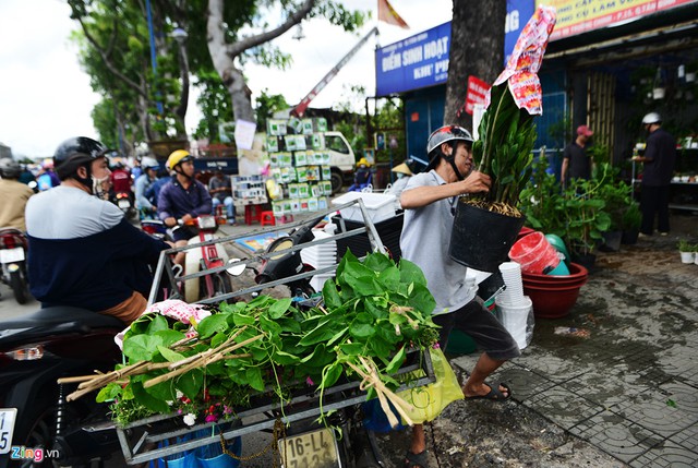 Tuy nhiên, không ít cửa hàng cây, hoa cảnh, dụng cụ... vẫn chuyển hàng về để tiếp tục bán.