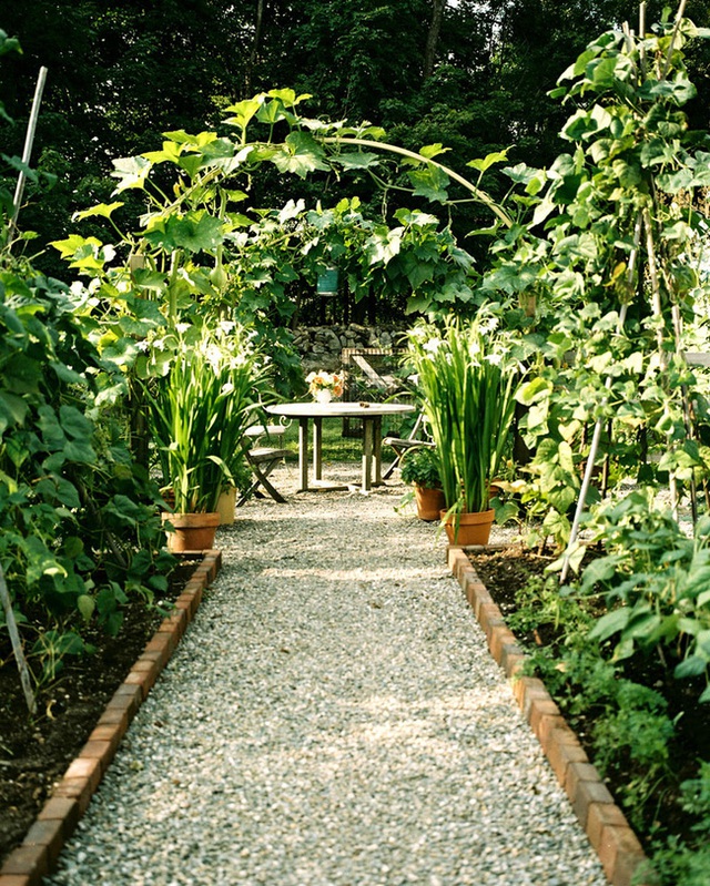 Lối đi của khu vườn này dẫn đến khu vực ghế ngồi ngoài trời, nơi chủ nhà có thể tận hưởng sự yên tĩnh để đọc sách, trò chuyện và nhấm nháp chút trà thơm.