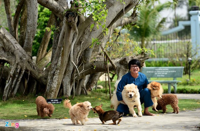 
Sau khi hoàn thành công việc mỗi ngày, người canh nhà thờ Tổ cho Hoài Linh lại chơi đùa cùng bầy cún đáng yêu mà anh âu yếm gọi bằng con và đặt tên cho từng đứa. Hoài Linh đã mua những con cún này từ nước ngoài về.
