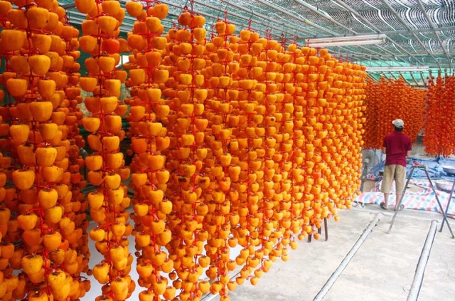 
 

Khoảng 4 năm trước, nhiều n&ocirc;ng d&acirc;n tại Đ&agrave; Lạt được tiếp nhận c&ocirc;ng nghệ sấy kh&ocirc; từ c&aacute;c chuy&ecirc;n gia đến từ Nhật Bản, gi&uacute;p tăng khả năng chế biến tr&aacute;i hồng sau thu hoạch.

 


 

Với c&ocirc;ng nghệ sấy hồng kiểu Nhật Bản, qu&aacute; tr&igrave;nh chăm s&oacute;c hồng tuyệt đối kh&ocirc;ng sử dụng bất cứ chất k&iacute;ch th&iacute;ch, h&oacute;a học n&agrave;o. Sau khi thu hoạch, tr&aacute;i hồng được gọt sạch vỏ, ri&ecirc;ng phần cuống được giữ lại để treo.

 


 

Hồng được đưa v&agrave;o l&ograve; sấy nhiệt độ từ 50 đến 60 độ C, trong khoảng 3 tiếng. C&aacute;ch l&agrave;m n&agrave;y gi&uacute;p cho tr&aacute;i hồng kh&ocirc; lớp bề mặt. Từng tr&aacute;i hồng sau đ&oacute; được treo l&ecirc;n c&aacute;c m&oacute;c bằng nhựa.

 


 

Việc treo hồng được thực hiện ngay sau khi đưa từ trong l&ograve; sấy ra.

 


 

Hồng sẽ được gi&oacute; sấy tự nhi&ecirc;n, thời gian treo hồng k&eacute;o d&agrave;i khoảng 3 tuần, phụ thuộc v&agrave;o nhiệt độ v&agrave; độ ẩm ngo&agrave;i trời.

 


 

B&agrave; Đặng Thị Thu V&acirc;n (phường 10, TP Đ&agrave; Lạt) cho biết, nhiệt độ ngo&agrave;i trời từ 25 đến 30 độ v&agrave; độ ẩm khoảng 50% sẽ l&agrave; điều kiện l&yacute; tưởng để sấy theo c&ocirc;ng nghệ của Nhật Bản.

 


 

Th&ocirc;ng thường, khoảng 7-8kg hồng tươi sẽ cho ra 1kg hồng sấy gi&oacute;, n&ecirc;n gi&aacute; của hồng sấy Nhật Bản cũng c&oacute; gi&aacute; cao hơn c&aacute;c loại hồng sấy l&ograve; truyền thống. Hiện hồng sấy được b&aacute;n sỉ với gi&aacute; từ 420.000 đến 450.000 đồng một kg.

 


 

D&ugrave; c&oacute; gi&aacute; b&aacute;n kh&aacute; cao, nhưng hồng sấy gi&oacute; c&oacute; vị thơm, ngọt thanh tự nhi&ecirc;n n&ecirc;n được nhiều người ti&ecirc;u d&ugrave;ng ưa th&iacute;ch. Trong những ng&agrave;y gần Tết, c&aacute;c cơ sở cho biết kh&ocirc;ng c&oacute; đủ h&agrave;ng cung cấp ra thị trường.







