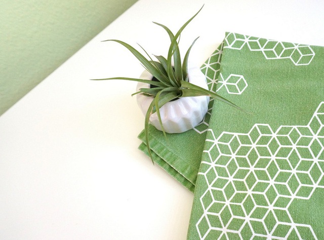 Những chậu cây xanh cũng cùng nhịp sống nếu bạn sử dụng thêm những chiếc khăn trải bàn cùng màu.