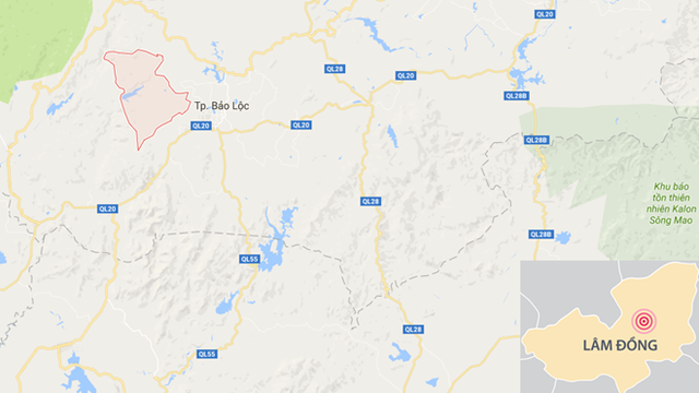 
Khu vực nghi phạm Đức giấu xác anh Hành (màu hồng). Ảnh: Google Maps.
