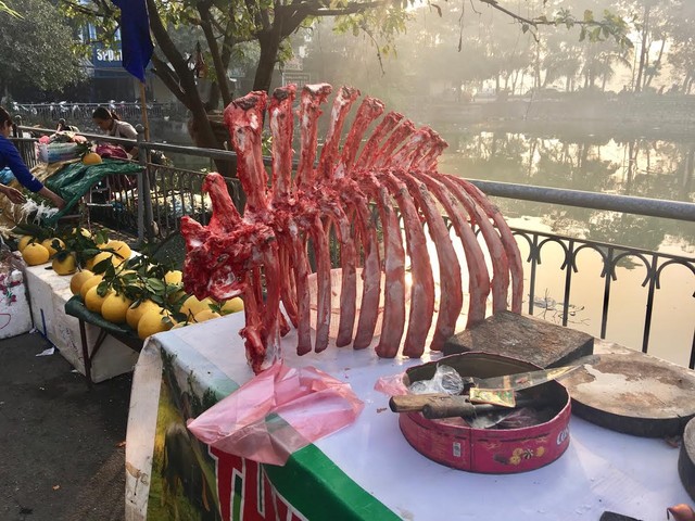 ...hay một bộ khung xương sườn khổng lồ được bày trên bàn là cách quảng cáo mới của dân bán thịt trâu tươi ở Hà Nội