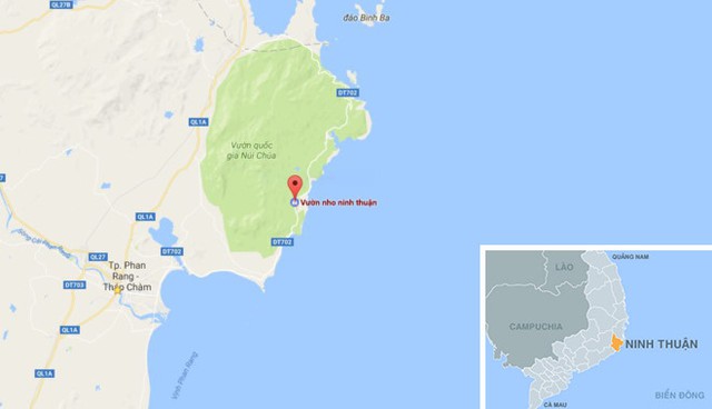 Vườn nho Ninh Thuận. Ảnh : Google Maps.