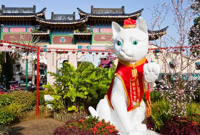 
Người Trung Quốc tại Kuching tin rằng mèo đem lại may mắn. Ảnh: Andrew Watson
