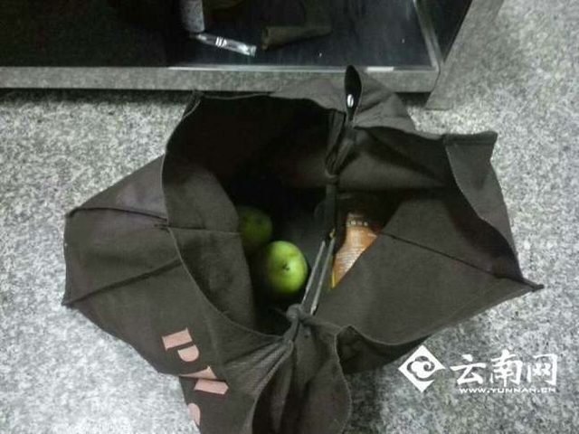 
Túi của Mậu cùng nhưng hoa quả dại bên đường. (Ảnh: Yunnan.cn)
