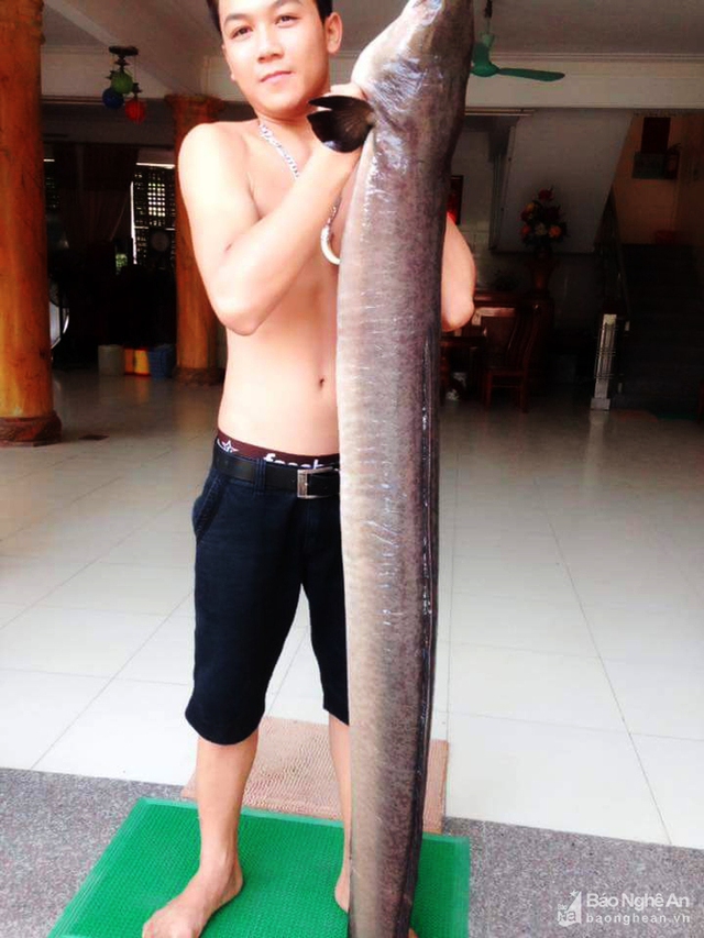 Con cá lệch dài 2m, nặng 18kg. Ảnh: NVCC