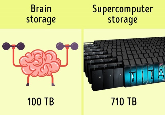 Khả năng ghi nhớ thông tin của não bộ có lẽ chỉ thua các siêu máy tính.