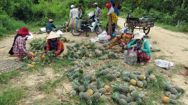 Mặc dù đem lại lợi nhuận cao nhưng đến nay nông dân phải tự tìm đầu ra để tiêu thụ nên giá cả rất bấp bênh.