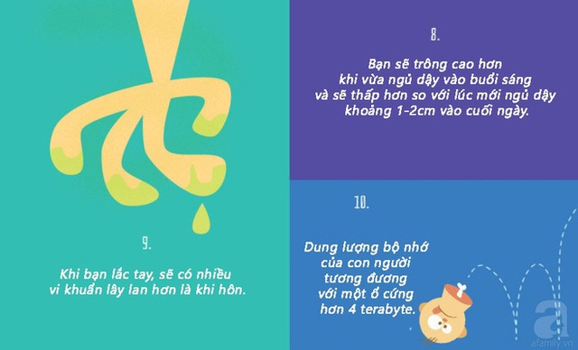 Bạn sẽ cao nhất khi vừa ngủ dậy vào buổi sáng và sẽ thấp hơn so với lúc mới ngủ dậy khoảng 1cm vào cuối ngày. Bởi vì các đĩa đệm trong cột sống bị chèn ép trong suốt cả ngày, khi bạn ngủ, cột sống của bạn không bị chèn ép, do vậy, bạn sẽ cao hơn khi vừa được nghỉ ngơi sau 1 đêm.