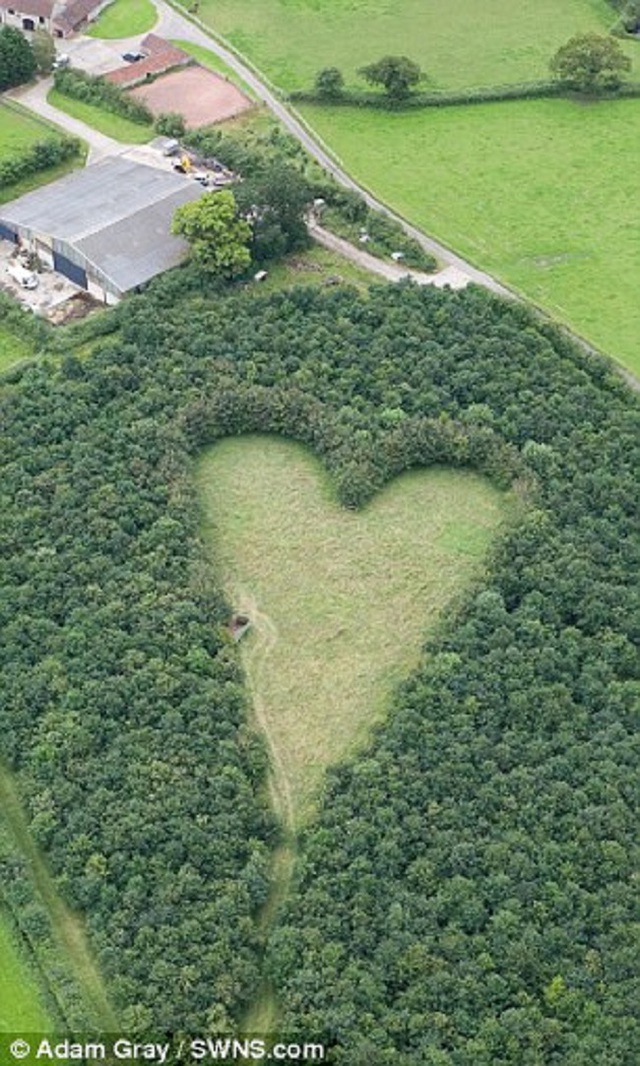 Chỉ khi nh&igrave;n từ tr&ecirc;n cao, người ta mới nhận ra h&igrave;nh tr&aacute;i tim.