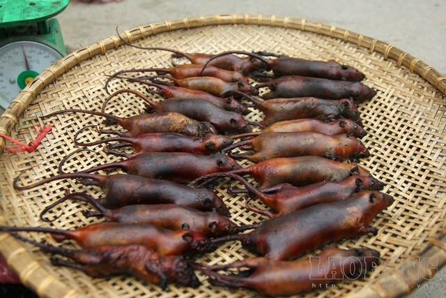 Chợ Canh Nậu bắt đầu từ 4h chiều, kết thúc khi sẩm tối. Những con chuột thui rơm, màu nâu đen được bày bán, có giá từ 100 – 120.000 đồng/kg, đắt hơn hẳn thịt gà, thịt lợn.