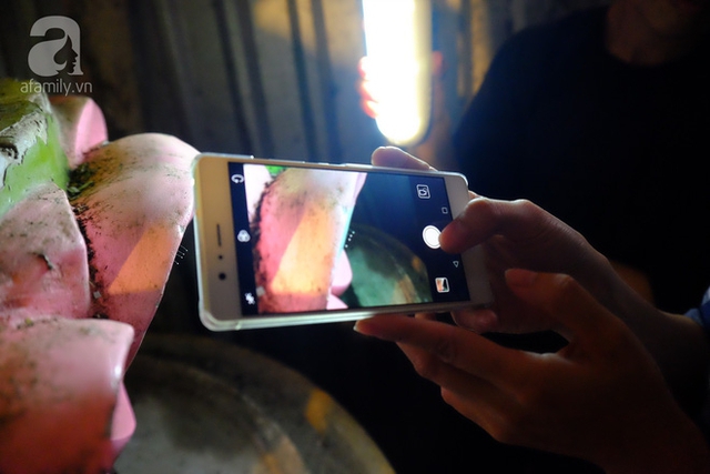 Nhiều người d&ugrave;ng điện thoại lưu giữ h&igrave;nh ảnh về lo&agrave;i thực vật được cho l&agrave; Thi&ecirc;n cổ kỳ hoa.