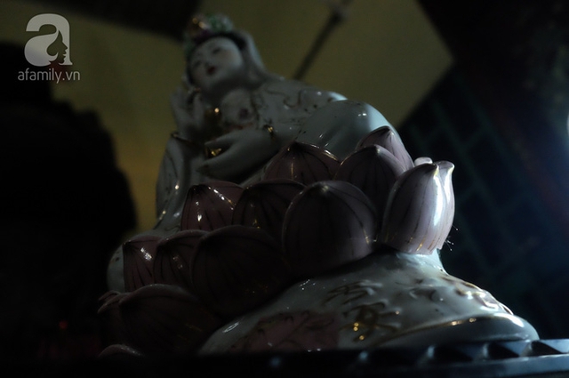 Lo&agrave;i hoa n&agrave;y thường mọc dưới tượng Phật n&ecirc;n được nhiều người cho l&agrave; linh thi&ecirc;ng.