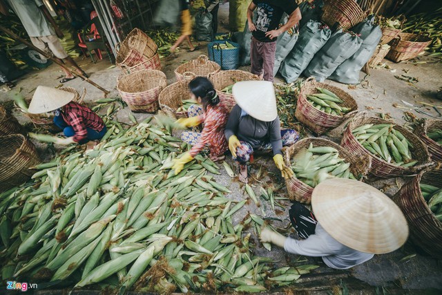 Thông thường, bắp được chia làm 4 loại: nhất, nhì, ba, tư. Loại nhất là bắp to, chất lượng nhất. Kích cỡ giảm dần ở những loại về sau, giá cũng sẽ rẻ dần theo từng loại.