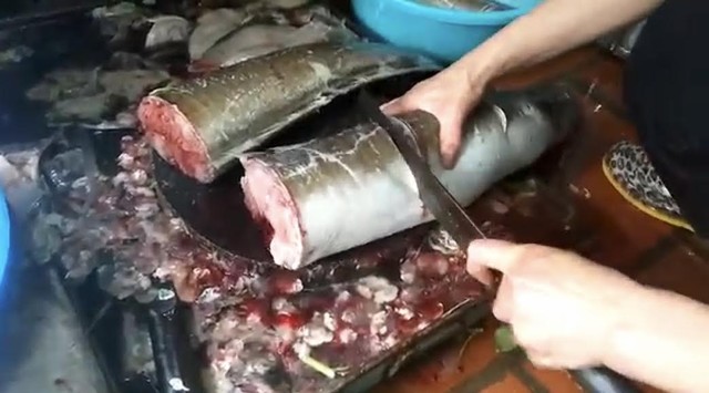Con cá được thịt sẵn trước khi đưa đến nhà đại gia
