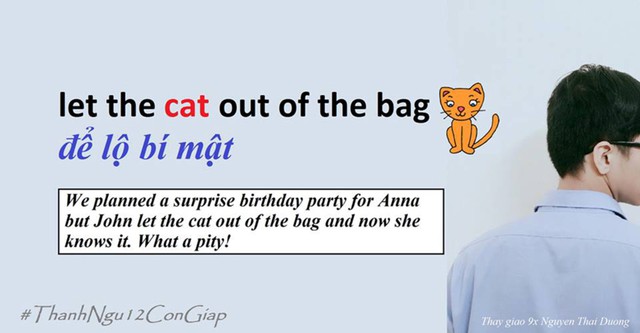 
Con mèo được nhắc đến trong thành ngữ Let the cat out of the bag - để lộ bí mật, thường do vô tình.
