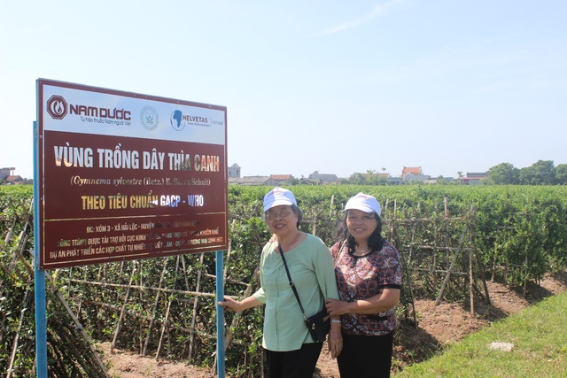 Cô Trương Thị Xuân Mai và Lê Thị Vinh Huê – Câu lạc bộ Thăng Long (Hà Nội) tại vùng trồng Dây thìa canh chuấn hóa
