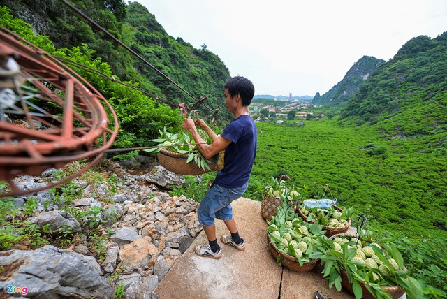 Anh Hà Mạnh Hưng (Thái Bình) đã quen với công việc hái và vận chuyển na 10 năm nay. Anh cho biết nhiều nhà lắp đặt tời cả chục năm nay nhưng gia đình anh mới có nó thời gian gần đây. Trước khi chưa có tời, mỗi ngày anh phải gánh bộ cả chục km đường rừng núi để mang được na ra quốc lộ. “Nay có hệ thống vận chuyển nàynày thì mọi thứ thuận tiện hơn”, anh Hưng chia sẻ.