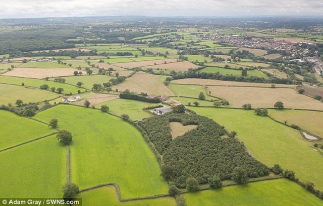 Trong l&ograve;ng khu vườn, giữa những t&aacute;n c&acirc;y xanh tốt l&agrave; một tr&aacute;i tim khổng lồ m&agrave; &ocirc;ng Winston Howe muốn d&agrave;nh cho vợ m&igrave;nh.