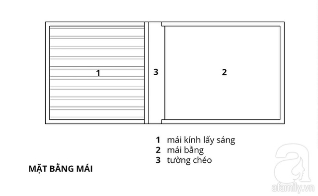 Tổng thể không gian chung của căn nhà chan hòa ánh sáng