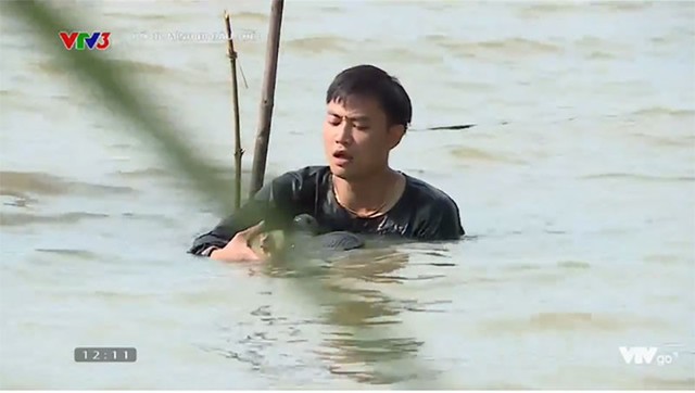 Bố Tiến Lộc dũng cảm bơi ra giữa sông giải thoát cho chú vịt con.