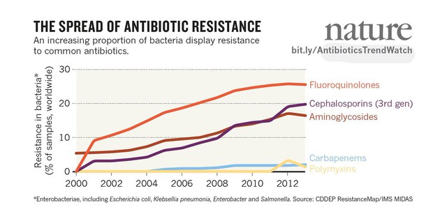 Vi khuẩn kháng kháng sinh có tốc độ gia tăng nhanh chóng trên thế giới