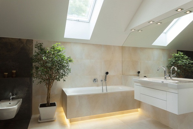 5. Cây xanh trong nhà tắm mang đến cảm giác tươi mát, khoan khoái, thoải mái bên trong căn phòng.