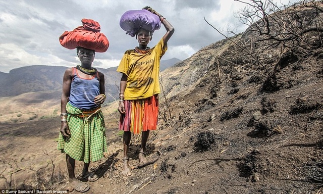 
Phụ nữ của bộ lạc Karamajong tìm kiếm củi đốt trên núi Moroto. Họ cũng có thể bán củi tại chợ địa phương ở thị trấn Moroto, Karamoja.
