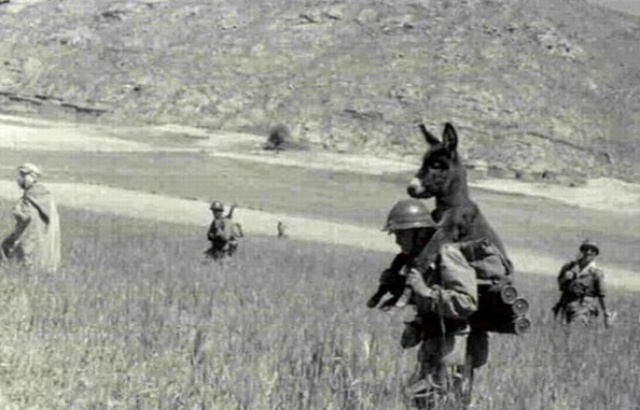 
Năm 1940, phải chăng đ&atilde; c&oacute; hắn chiến dịch giải cứu lừa?
