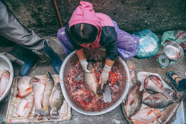 Hàng ngày, anh Trình (Từ Sơn, Bắc Ninh) và vợ dậy từ 2h đi lấy cá rồi mang đến một chợ cóc ở phố Hoàng Cầu để bán. Anh cho biết ngày nào bán đắt hàng sẽ lãi từ 300.000-350.000 đồng. Ngày ế ẩm thì coi như hôm ấy gia đình anh lại có bữa cải thiện.