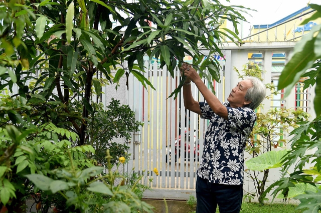 Như thế vừa an toàn, vừa tiết kiệm, ông bật cười nói. Toàn bộ hoa quả và cây xanh đều do ông tự trồng, chăm sóc.