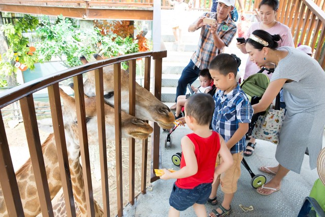 
Bé nào cũng vừa hồi hợp mà lại vừa vui khi tự tay cho các bạn hươu ăn bí ngô
