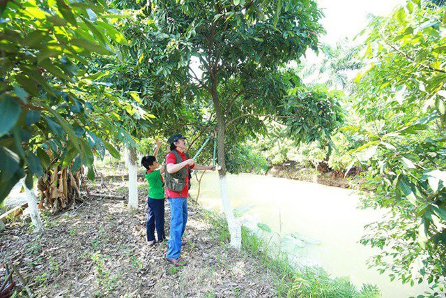 Ngày trước nam diễn viên có nhiều thời gian chăm sóc khu vườn trồng cây ăn trái, thả cả cá, nuôi lợn gà trong vườn thì giờ đây lịch diễn dày đặc khiến anh ít có thời gian chăm vườn nên cứ để cây cối um tùm tự nhiên.