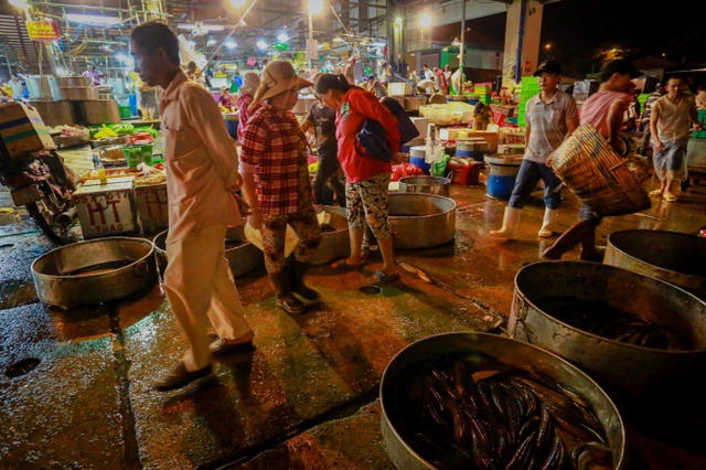 
 

Vừa bày xong cá lóc trên sạp hàng, những người bán cá đứng chào mời các tiểu thương đến mua cá.

 


 

Để phục vụ nhu cầu của những vị khách kỹ tính, người bán cá tại chợ đầu mối còn dùng vợt bắt nhiều loại cá lóc đủ kích cỡ để khách lựa chọn.

 


 

Một thương lái ở quận 7 chờ nhân viên cân đủ số lượng cá lóc trước khi thanh toán và nhận hàng.

 


 

2h sáng, anh Gia lặn lội từ Long An xuống chợ đầu mối Bình Điền để mua 50 kg cá lóc với giá 31.000 đồng một kg.

 


 

Một thương lái đến từ Long An dùng tủ kính để vận chuyển cá lóc về chợ, bán lại cho khách. Tôi dùng tủ kính để con cá được bảo quản tươi ngon hơn, thương lái này chia sẻ.




