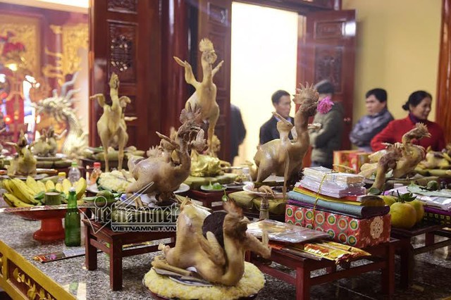 G&agrave; được tạo d&aacute;ng rất đẹp với nhiều tư thế kh&aacute;c nhau