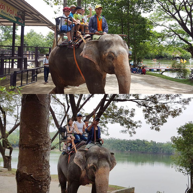 Anh chị em mình cùng trên lưng voi khám phá Vườn Xoài nào!