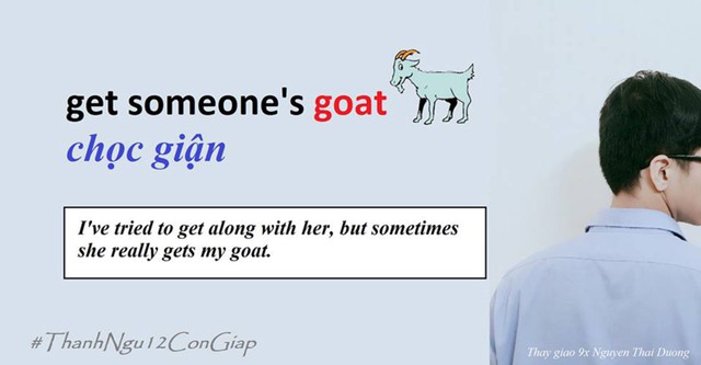 
Thành ngữ Get someones goat mang ý chọc tức, khiến người khác bực mình.
