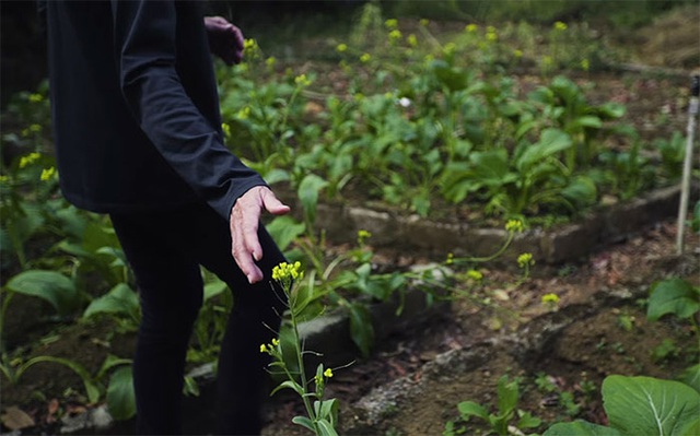 
Tôi còn nhớ những ngày đầu khi bước chân trên mảnh đất này chẳng nghe được âm thanh nào khác ngoài tiếng những bước chân... (Ảnh: Great Big Story)
