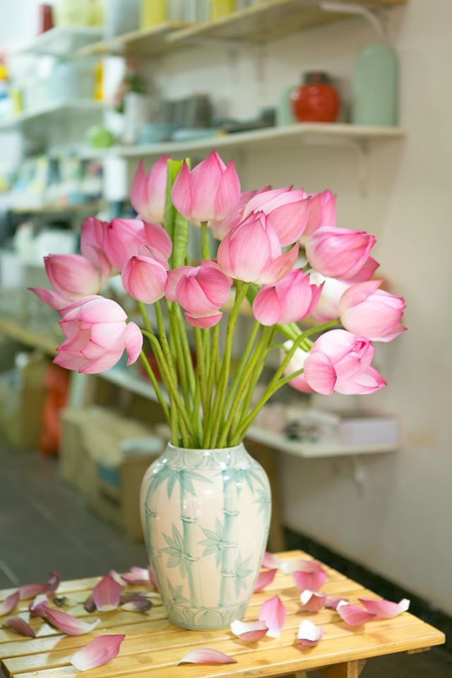 Những bông sen hồng nở rộ được cắm trong chiếc lọ màu xanh ngọc bích với họa tiết câu trúc vô cùng bình dị mà tinh tế. Lọ hoa được đặt trên bàn gỗ quét vecni vàng với những cánh hoa buông thả tự nhiên đem lại cảm nhận về một sớm mai thật dịu dàng, thơ mộng.