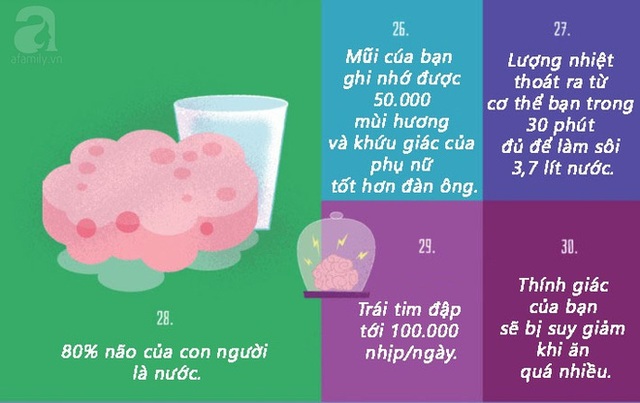 Ăn quá nhiều cũng có thể ảnh hưởng đến thính giác nhé, hãy coi chừng!